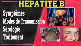 Hépatite B Symptômes Transmission Traitement  Gastrologie Médicale [upl. by Annodahs]