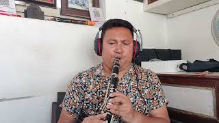 Galti hajar hunchan  Narayan Gopal  Clarinet Cover [upl. by Nommad]