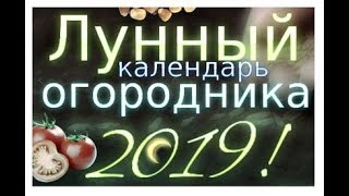 Лунный календарь огородника и садовода на 2019 год Когда сажать рассаду в 2019 году [upl. by Namar]