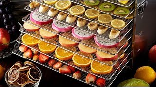 Top 5 BEST FOOD DEHYDRATORS  Top 5 Food Dehydrators  Top 5 Dehydrators Review [upl. by Larrisa]