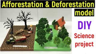 afforestation and deforestation model  science project model  afforestation  deforestation  diy [upl. by Inalan]