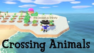 Playing ANIMAL CROSSING for the first time in months [upl. by Hars564]