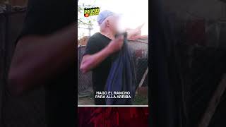 La leona de Tigre  policíasenacción shorts acción policia virales parecidos [upl. by Liagaba855]