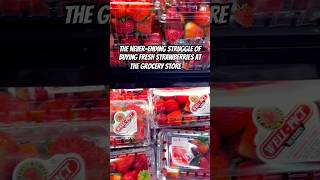 Buying strawberries at the grocery store be like 😱🍓🍓🍓 strawberries comedy funnyshorts [upl. by Salocin930]