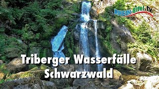 Triberger Wasserfälle  Schwarzwald  RheinEifelTV [upl. by Pompea842]