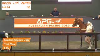 2024 Yearling Sales  Gold Coast [upl. by Annovoj]