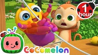 Itsy Bitsy Spider Baby Animal Stories for kids  Cocomelon Animal Time Nursery Rhymes [upl. by Oirom]