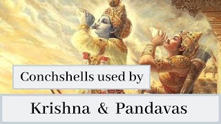 Conchshells used by Lord Krishna and the Pandavas  Bhagavad Gita as it is  ISKCON  Prabhupada [upl. by High630]