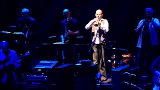 Steely Dan  Live Concert New York 2011 [upl. by Uahc674]