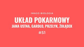 Układ pokarmowy jama ustna gardło przełyk i żołądek [upl. by Ise]