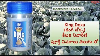 Indoxacarb 145 SC కీటక నివారిణి పూర్తీ వివరాలు తెలుగు లో  King Doxa కింగ్ డోక్స [upl. by Eyak607]