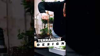 Terrarium Design terrarium garden design [upl. by Eyssej935]