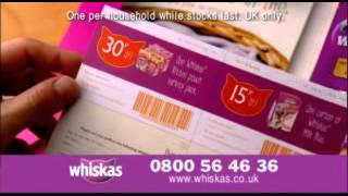 Whiskas Free Kitten Care Advert UK TV [upl. by Lotsyrc627]