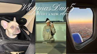 VLOGMAS DAY 5  lets go pick up a new puppy [upl. by Anyalram]