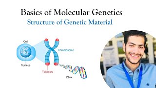 Lecture 2  Structure of Genetic Material  DNA amp RNA [upl. by Okihsoy]