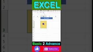 PICTURE INSERT IN MS EXCEL msexcel shorts viralshorts excel [upl. by Pages]