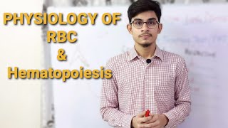 RBC  Hematopoiesis  RBC Count  Hb Concentration [upl. by Aniral]