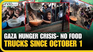 IsraelHamas War Gaza Faces Dire Hunger Crisis as Food Trucks Have Not Entered Since October 1 [upl. by Isa]