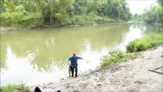 Chinook Salmon caught on the Nottawasaga River [upl. by Talich722]