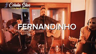 PORQUE ELE VIVE  FERNANDINHO  COM LETRA [upl. by Annaujat508]