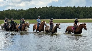 ponykamp week 1 2023 Ruitercentrum het Fjordenpaard [upl. by Hourihan378]