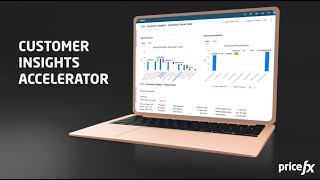 Pricefx Customer Insights Accelerator [upl. by Sandra58]