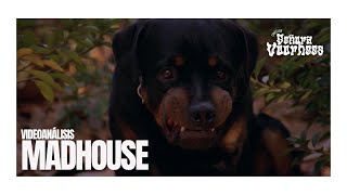 Cineclub Señora Voorhees Episodio 2 Madhouse 1981 Ovidio G Assonitis [upl. by Nitsuga781]