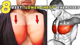 Lower Chest Workout  8 Best Chest Exercises [upl. by Trixie476]