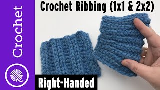 Crochet Rib Stitches 1x1 and 2x2 Ribbing  Mock Knitting [upl. by Chace528]