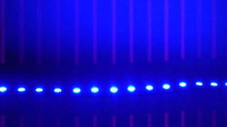 LED Lights Example ColorBright Super Blue LED Flexible Strip [upl. by Bobby]