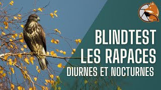 Les Rapaces  le blindtest qui va vous époustoufler [upl. by Jozef575]