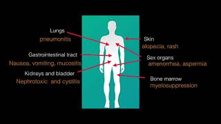 Lecture 3 Platinum Analogues in cancer [upl. by Dhu]