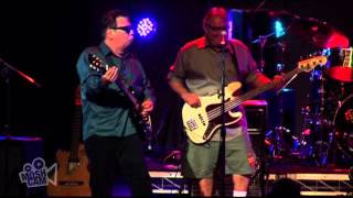 Los Lobos  Chucos Cumbia Live in Sydney  Moshcam [upl. by Justin]