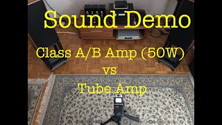 Lavardin ISX Reference vs Willsenton R8  Sound Demo 2 [upl. by Adalard]