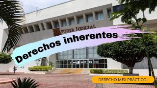 Derechos inherentes 👥🫂👥 Explicado en menos de 5 minutos ⚖🦉⚖ Derecho Mex Práctico [upl. by Dilahk590]