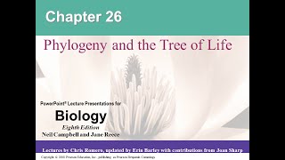 Chapter 26  Phylogeny and the Tree of Life Part 2 [upl. by Francois]