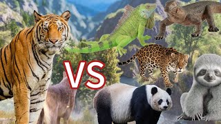 Tiger and Lion game play lionattack lionhunting wildcraft games gaming predatorvsprey [upl. by Oiramal]