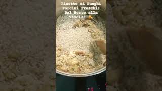 Risotto ai Funghi Porcini Freschi Dal Bosco alla Tavola 🍂shorts [upl. by Manolo]