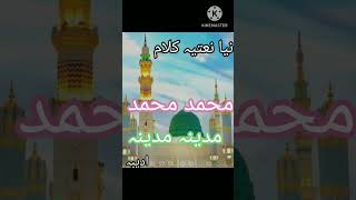 new nat muhmmd muhmmd mdeena mdeen نئ نعت ۔۔محمد محمد مدینہ مدینہ [upl. by Esbensen]