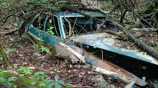 1978 Ford Ltd Station wagon Buried in concrete [upl. by Sonahpets]