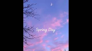 Spring Day by BTS springday bts shorts feed lyrics [upl. by Jovitah272]