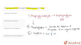 Phosphoglyceraldehyde is changed to biphosphoglyceric acid through [upl. by Duhl]