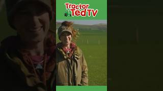 Come Bye 🐶 NEW Tractor Ted Episode Out Now tractorted Comebye shorts [upl. by Stephani19]