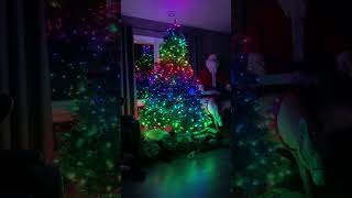 Oh Christmas Tree 600 LED Twinkly Tree 🌲 [upl. by Evanthe539]