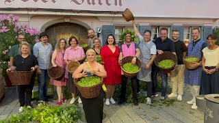 Tettnang die wirkliche Hopfenstadt Kurzbericht [upl. by Ralat201]