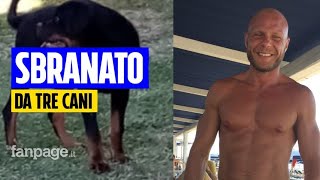 La sorella di Paolo Pasqualini sbranato da tre rottweiler a Manziana quotPoteva essere una stragequot [upl. by Selbbep]