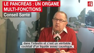 Le pancréas  un organe multifonctions [upl. by Hildegaard]