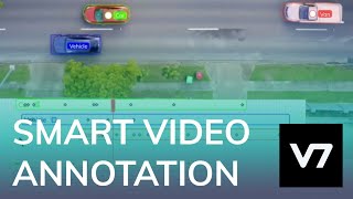 Video Annotation  V7 Darwin [upl. by Aniretake]