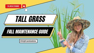 Tall Grass Care When And How To Cut Back Tall Grass [upl. by Lunt]