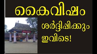 കൈവിഷ ദോഷം അകറ്റുന്ന ക്ഷേത്രം Thiruvizha Sree Mahadeva Temple Cherthala Kaivisham [upl. by Boote407]